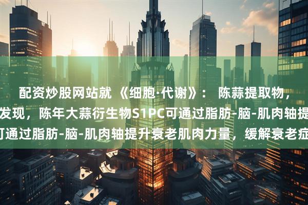 配资炒股网站就 《细胞·代谢》: 陈蒜提取物,重塑衰老肌肉!科学家发现,陈年大蒜衍生物S1PC可通过脂肪-脑-肌肉轴提升衰老肌肉力量,缓解衰老症状